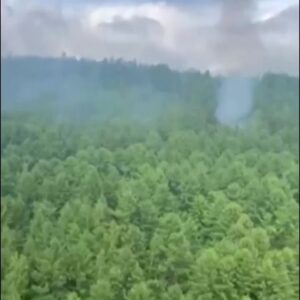 Plane Crashes in Russia’s Far East, Killing All 49 Onboard